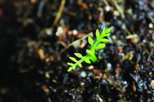 德惠市變頻機械有限責任公司